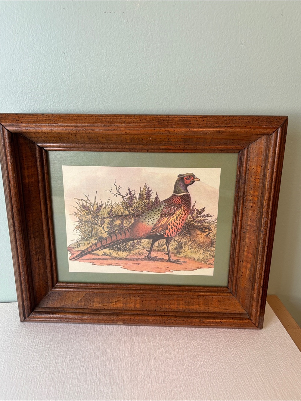 Vintage Framed Ring- Necked Pheasant Art Print